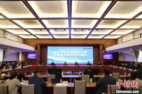 上海率先构建涉侨权益保护体系 官产学三方合力塑造城市新名片